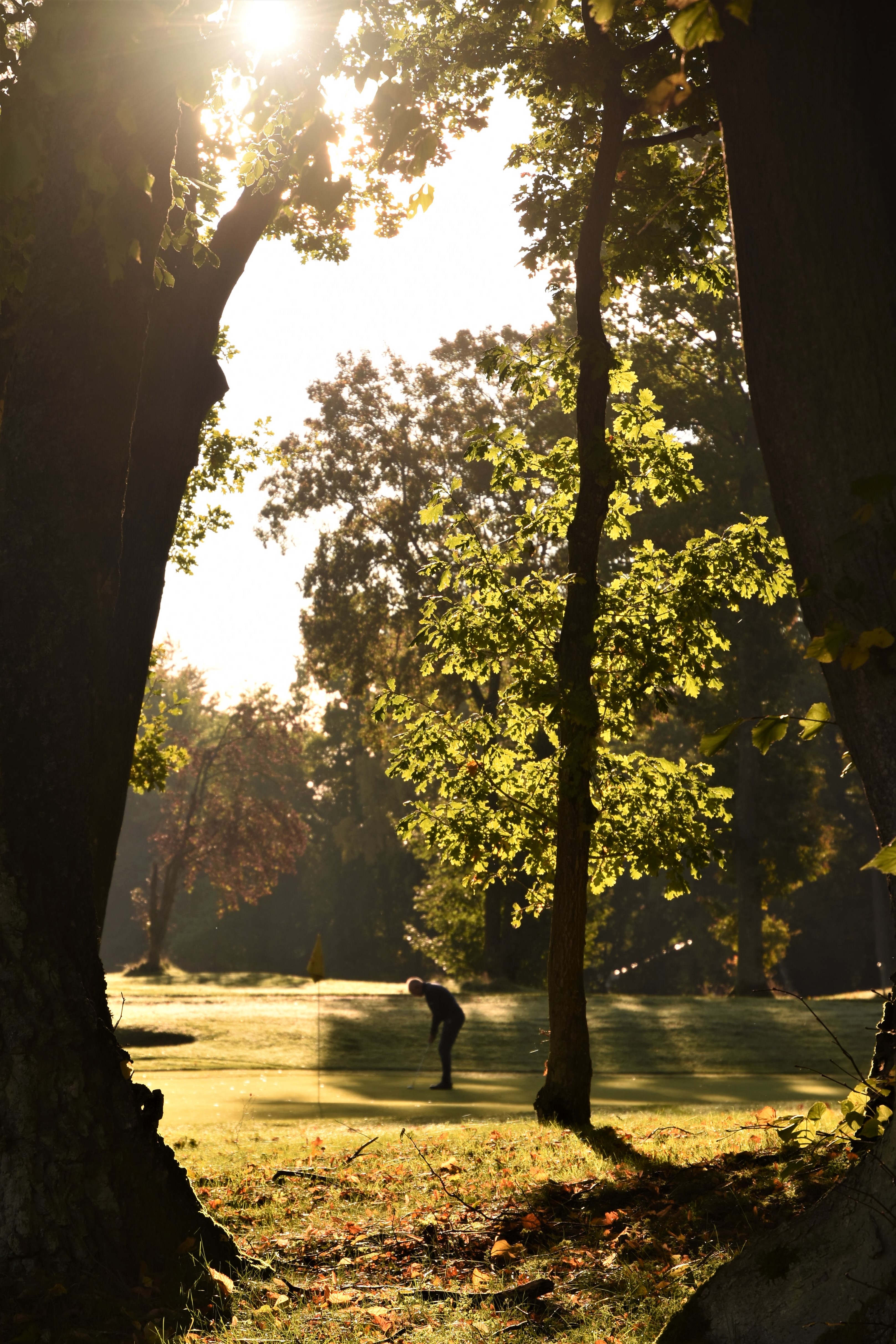 Foto: Carsten Brender